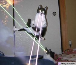 laser_kitties.jpg
