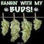 Hangin with my buds.jpg