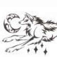 Nightwulf