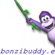 Bonzi