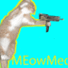 MeowMeow19