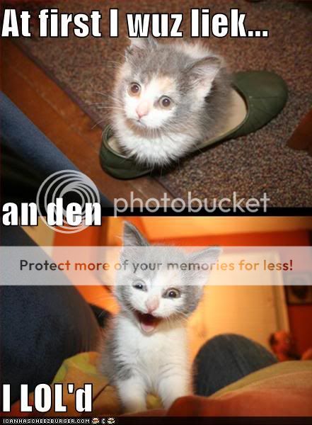 funny-pictures-kitten-shoe-loled.jpg