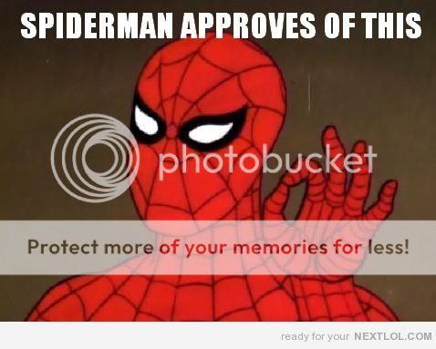 12674-spiderman-approves-of-this.jpg