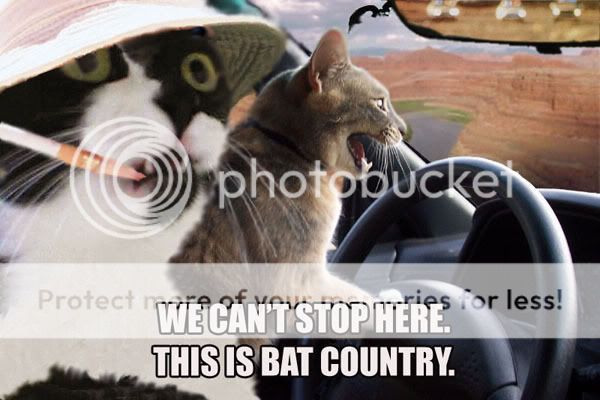 bat_country-1.jpg