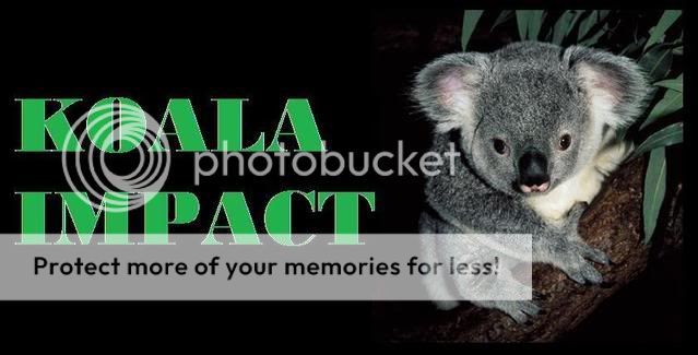 KoalaImpact.jpg