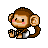 Baby-Monkey.gif