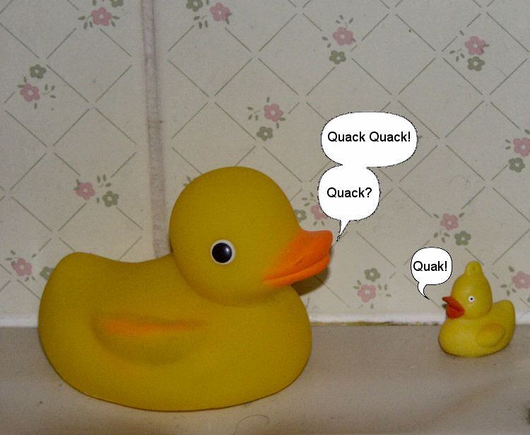 quack.jpg