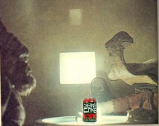 cantina2.jpg