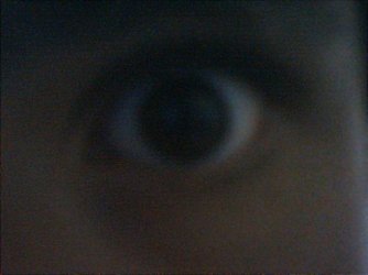Tempshot0013.jpg
