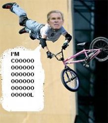 bush-bike.jpg