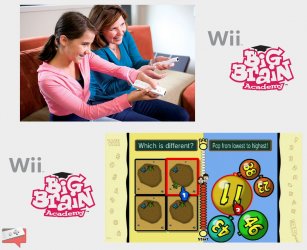 BigBrainWii_GDC_01.jpg BigBrainWii_GDC_01.jpg