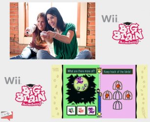 BigBrainWii_GDC_02.jpg BigBrainWii_GDC_02.jpg
