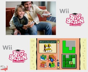BigBrainWii_GDC_04.jpg BigBrainWii_GDC_04.jpg