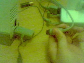 Picture 52.jpg