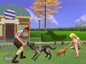 SIMS2PwiiSCRNdualPlayWM.jpg