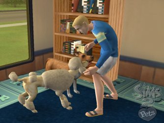 SIMS2PwiiSCRNindoor2DogsWM.jpg