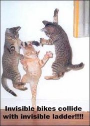 bikesandladders.jpg