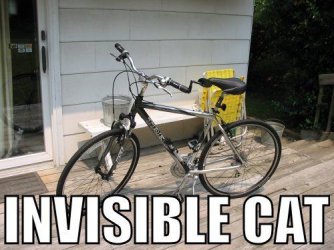 invisible-cat.jpg