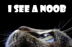 noob1nw8.jpg