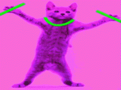 ravecat.gif