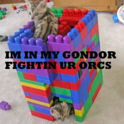 FOR GONDOR!.jpg