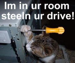 I r steelin ur drive.jpg