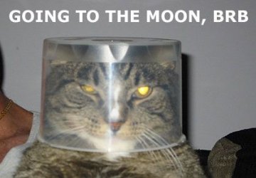 Mooncat.jpg