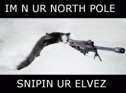 LMAO CATS!.gif
