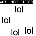 lol.gif