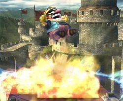 wario_070629e.jpg