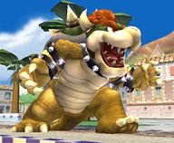 bowser_070703d.jpg