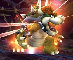 bowser_070704a.jpg