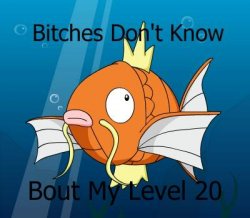 magikarp_pngc9e52a5d-bb1e-4ef5-8320.jpg