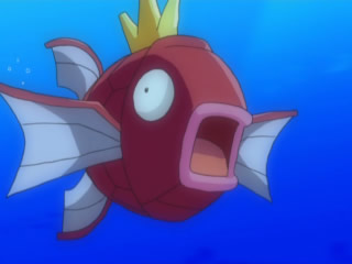 not-a-magikarp Magikarp.png