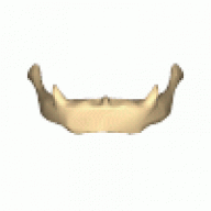 hyoid_man