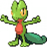 Old_Treecko