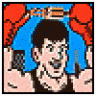 mtpunchout