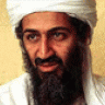 osama*