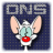 dns