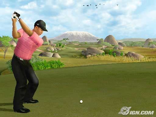 tiger-woods-pga-tour-07-20070117034646718.jpg