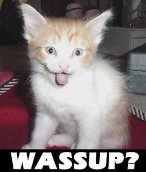 wassup.jpg