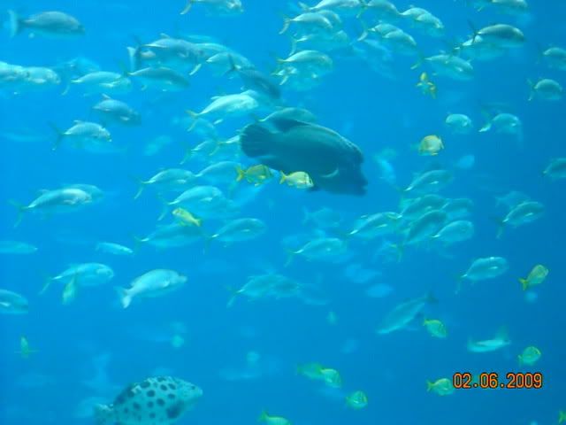 DSCN0106.jpg