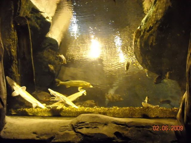DSCN0142.jpg