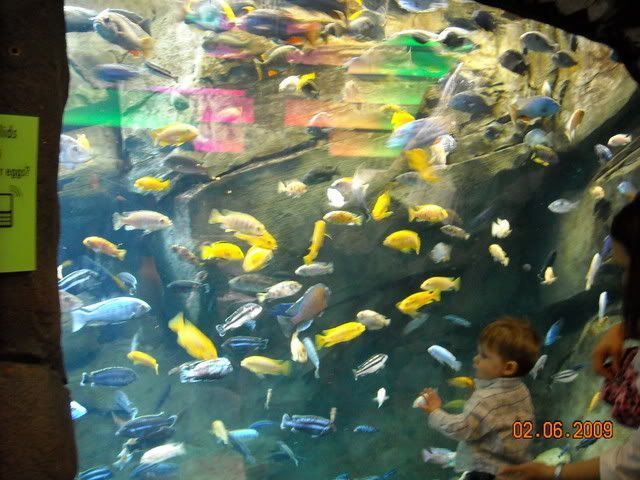 DSCN0128.jpg