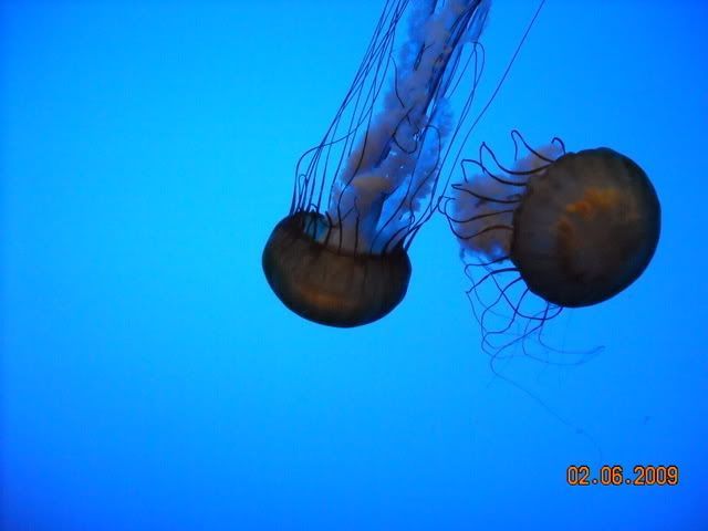 DSCN0158.jpg