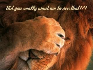 LionMale-1.jpg