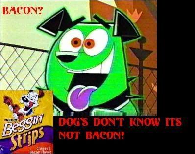 Ghost20Dog.jpg