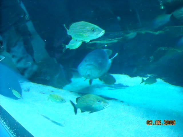 DSCN0095.jpg