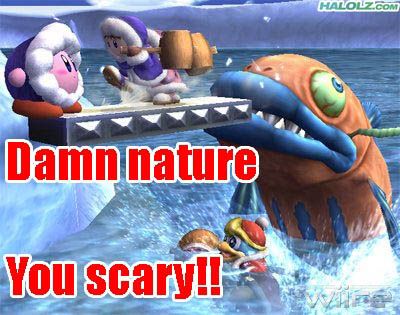 supersmashbrosbrawl-iceclimbers-damnnature.jpg