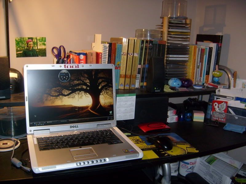 S6300845.jpg